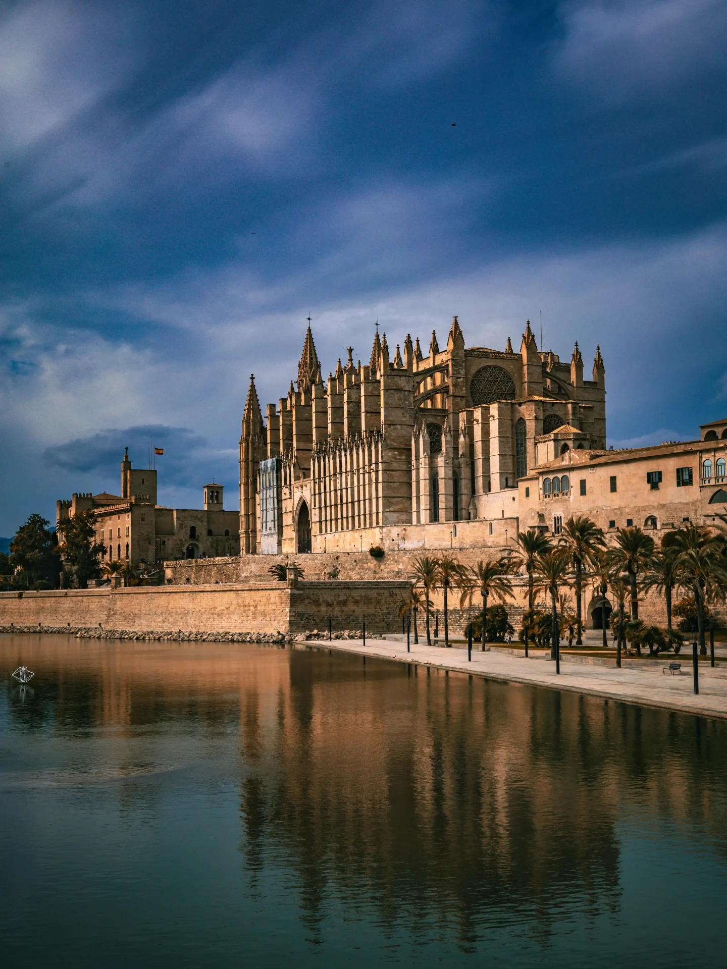 Palma cathedral and the old town